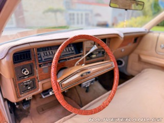 Ford LTD 5.8 V8 | 351-2V 1973
