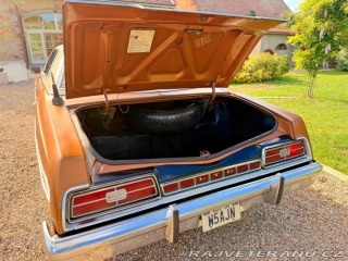 Ford LTD 5.8 V8 | 351-2V 1973