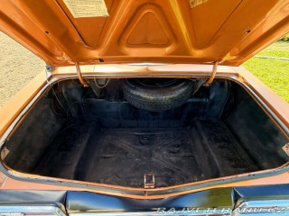 Ford LTD 5.8 V8 | 351-2V 1973