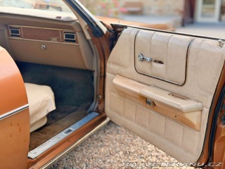 Ford LTD 5.8 V8 | 351-2V 1973
