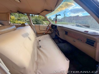 Ford LTD 5.8 V8 | 351-2V 1973
