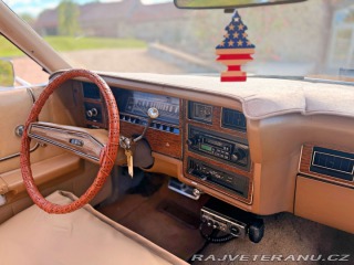 Ford LTD 5.8 V8 | 351-2V 1973