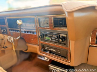 Ford LTD 5.8 V8 | 351-2V 1973