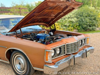 Ford LTD 5.8 V8 | 351-2V 1973