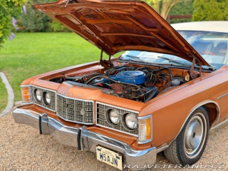 Ford LTD 5.8 V8 | 351-2V 1973