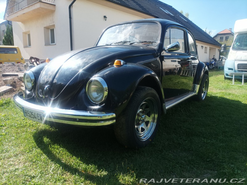 Volkswagen Brouk 