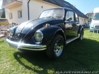 Volkswagen Brouk 