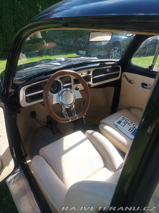 Volkswagen Brouk  1800