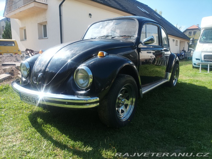 Volkswagen Brouk  1800