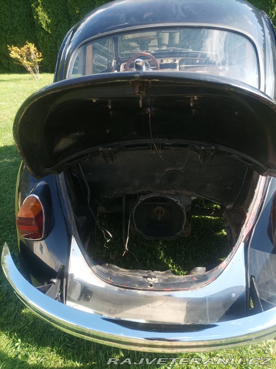 Volkswagen Brouk  1800
