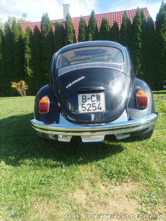 Volkswagen Brouk  1800