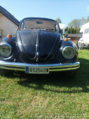 Volkswagen Brouk  1800