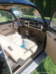 Volkswagen Brouk  1800