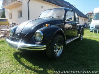 Volkswagen Brouk  1800
