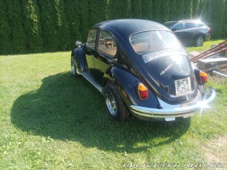 Volkswagen Brouk  1800