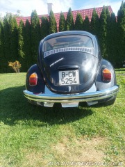 Volkswagen Brouk  1800