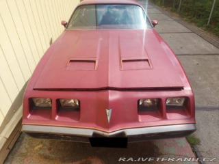 Pontiac Firebird Formula 1979