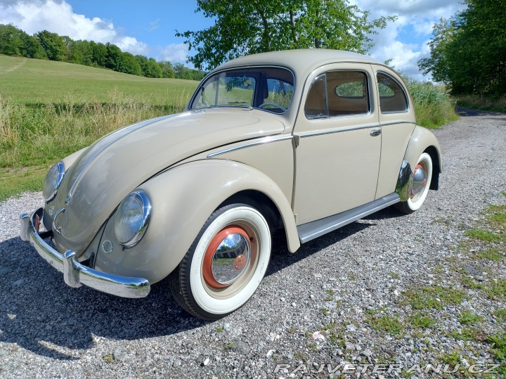 Volkswagen Brouk  1955