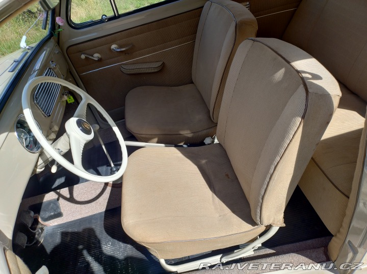 Volkswagen Brouk 1955