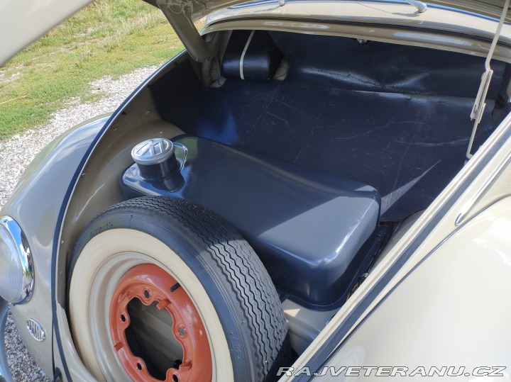 Volkswagen Brouk 1955