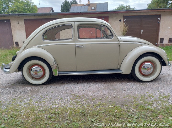 Volkswagen Brouk 1955
