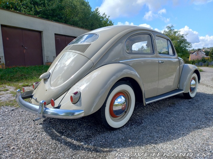Volkswagen Brouk 1955