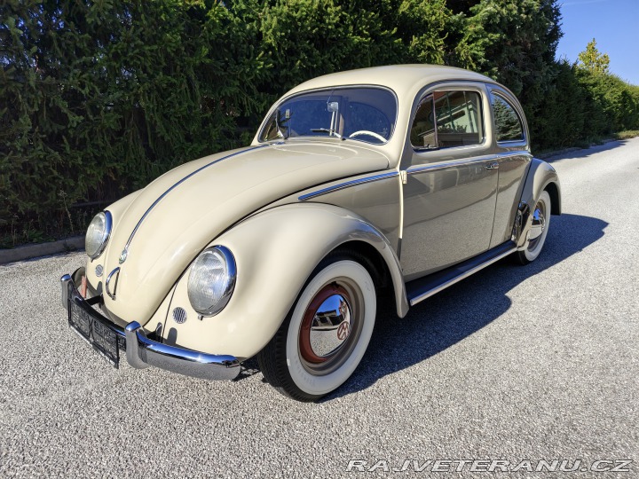 Volkswagen Brouk 1955