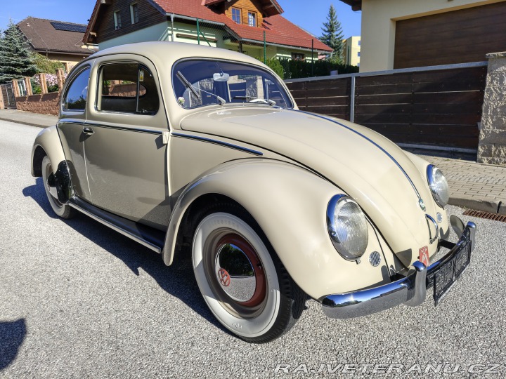 Volkswagen Brouk 1955