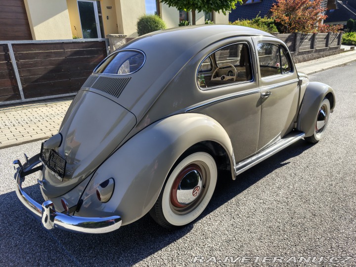 Volkswagen Brouk 1955