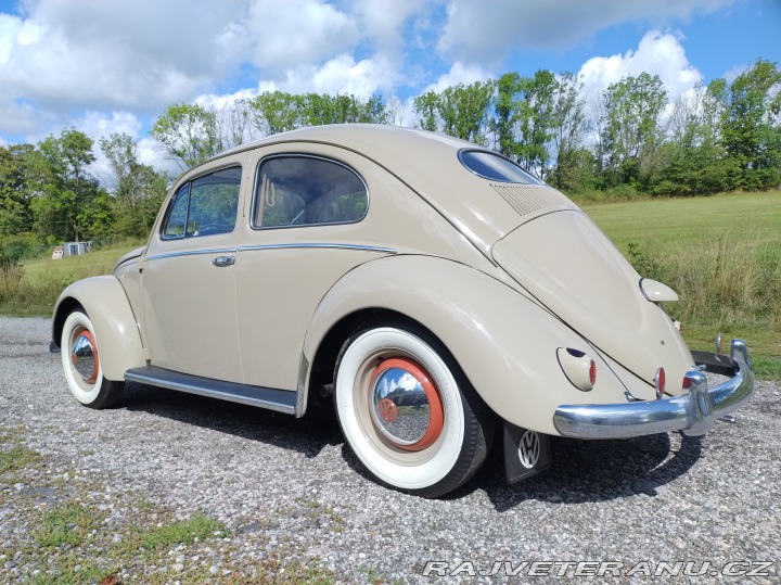 Volkswagen Brouk 1955