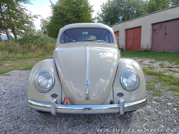 Volkswagen Brouk 1955