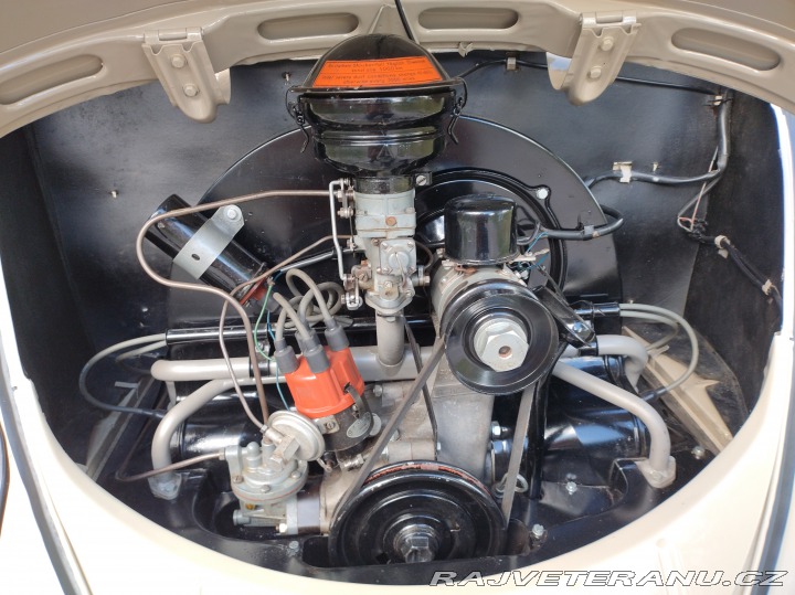 Volkswagen Brouk 1955