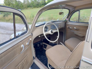Volkswagen Brouk  1955