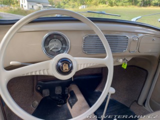 Volkswagen Brouk  1955