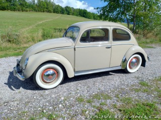 Volkswagen Brouk  1955