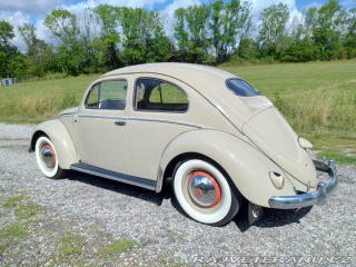 Volkswagen Brouk  1955