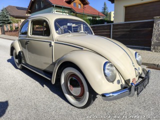 Volkswagen Brouk  1955