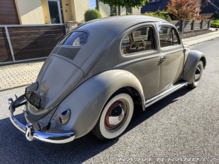 Volkswagen Brouk  1955