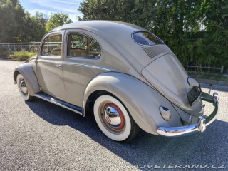 Volkswagen Brouk  1955