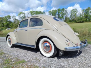 Volkswagen Brouk  1955