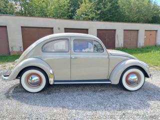 Volkswagen Brouk  1955