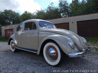 Volkswagen Brouk  1955
