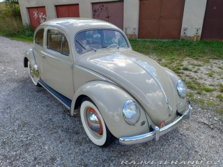Volkswagen Brouk  1955