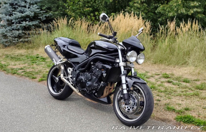 Triumph Ostatní modely Speed Triple SE 955i 2004