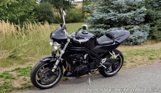 Triumph Ostatní modely Speed Triple SE 955i 2004