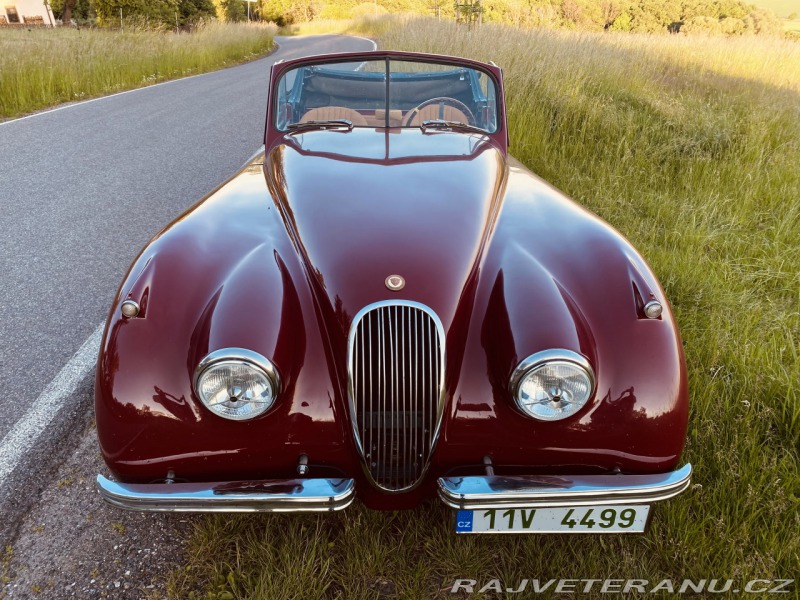 Jaguar XK 120 Carrera Panamericana