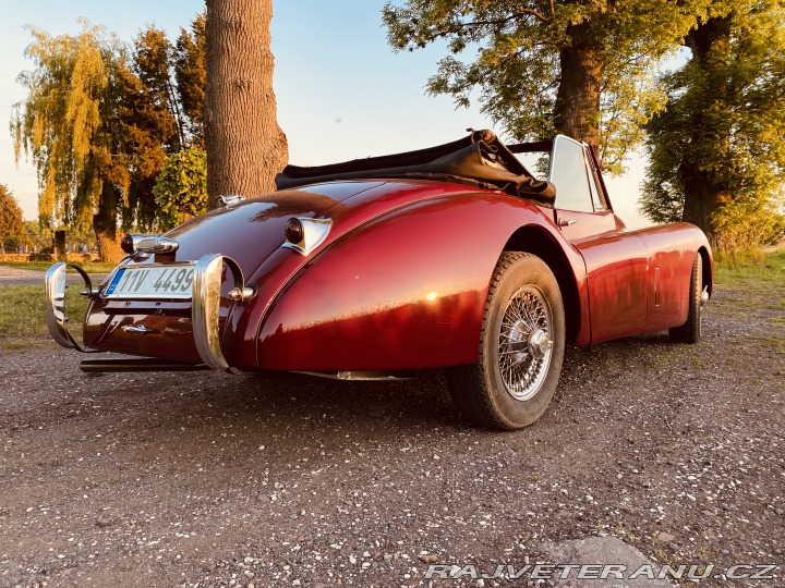 Jaguar XK 120 Carrera Panamericana 1954