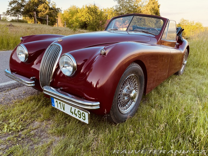 Jaguar XK 120 Carrera Panamericana 1954