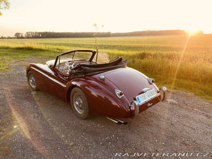 Jaguar XK 120 Carrera Panamericana 1954