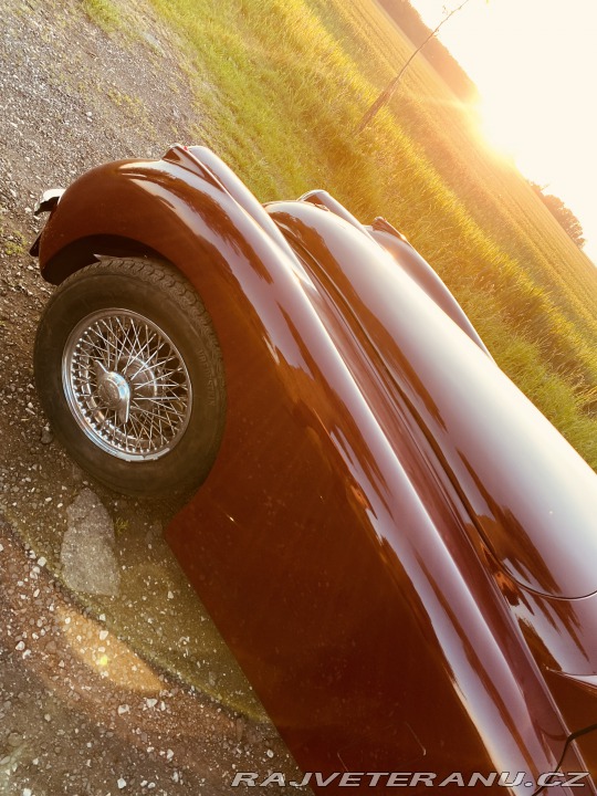Jaguar XK 120 Carrera Panamericana 1954